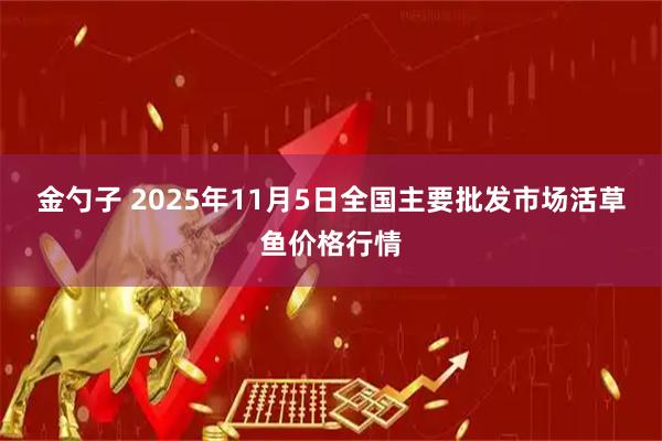 金勺子 2025年11月5日全国主要批发市场活草鱼价格行情