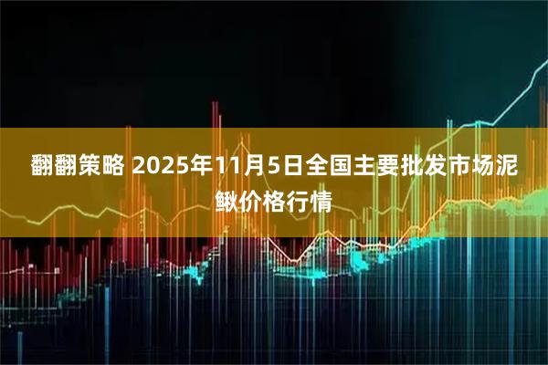 翻翻策略 2025年11月5日全国主要批发市场泥鳅价格行情